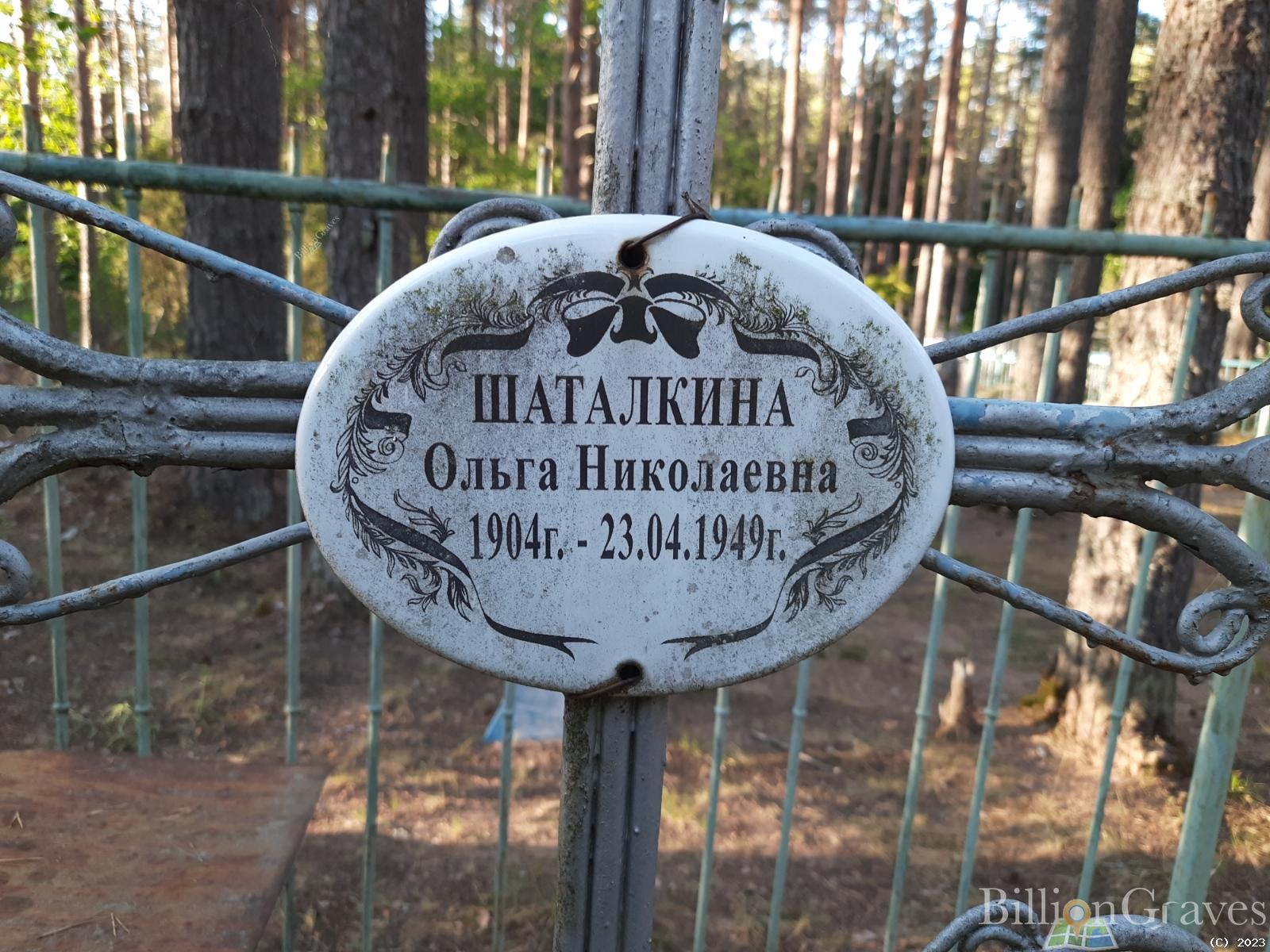 Шаталкина Ольга Николаевна