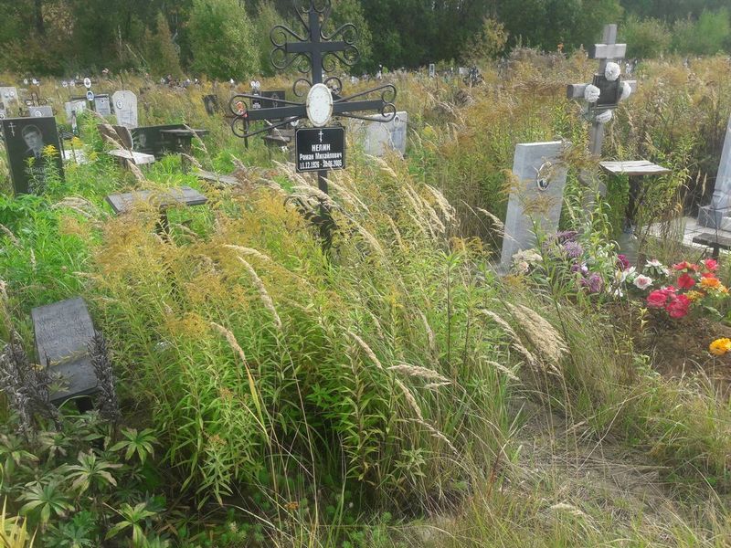 Нелин Роман Михайлович