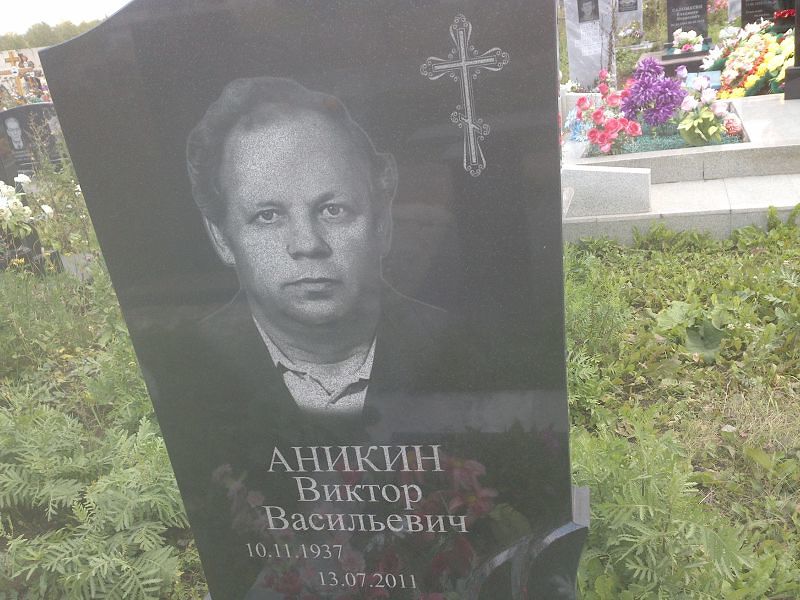 Аникин