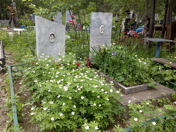 Овчинникова Людмила Парфирьевна