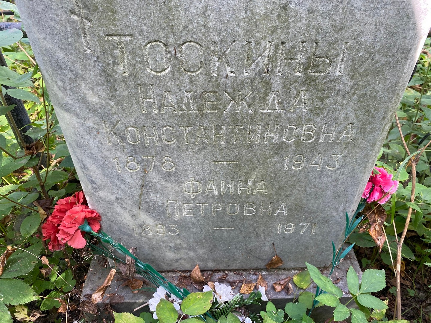 Тоскина