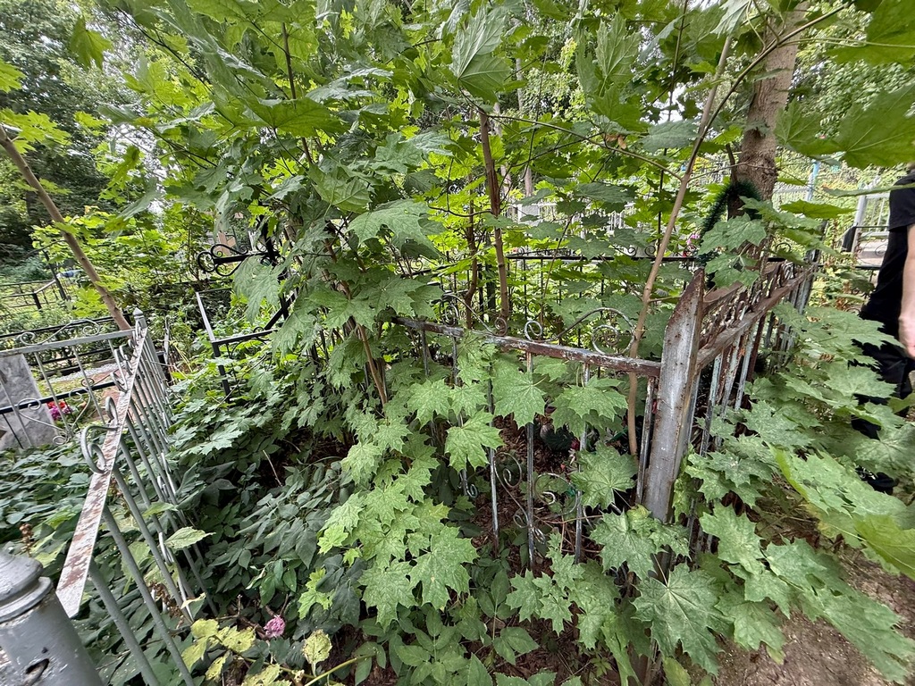 Комракова Ольга Ивановна