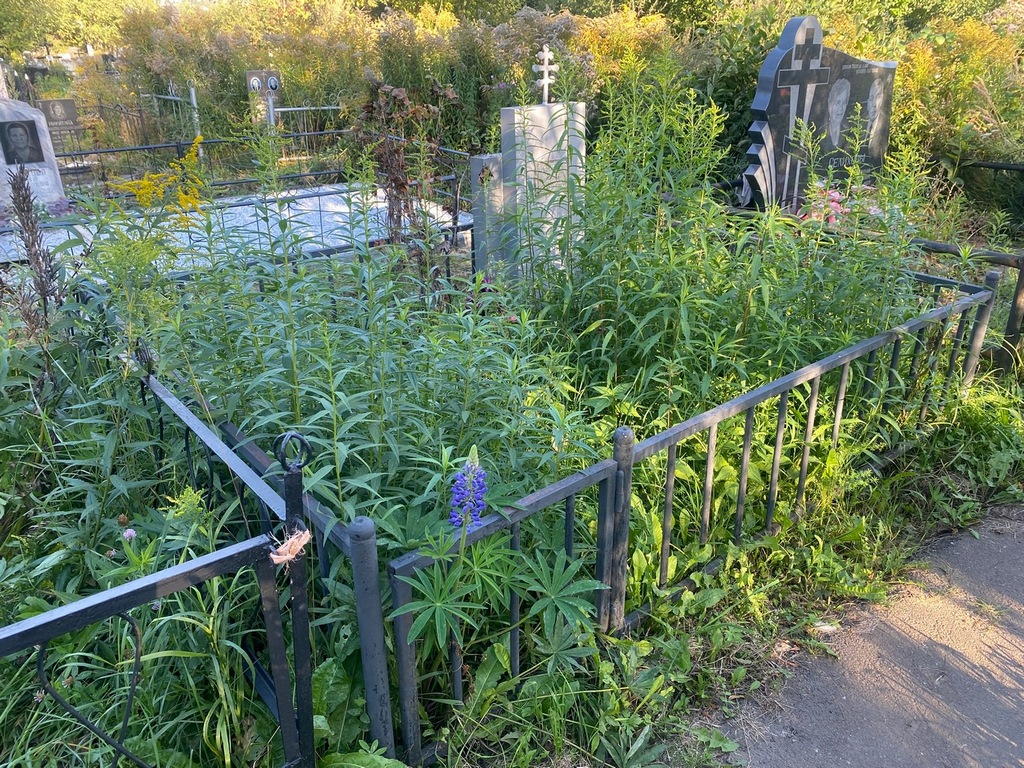 Жукова Александра Ивановна