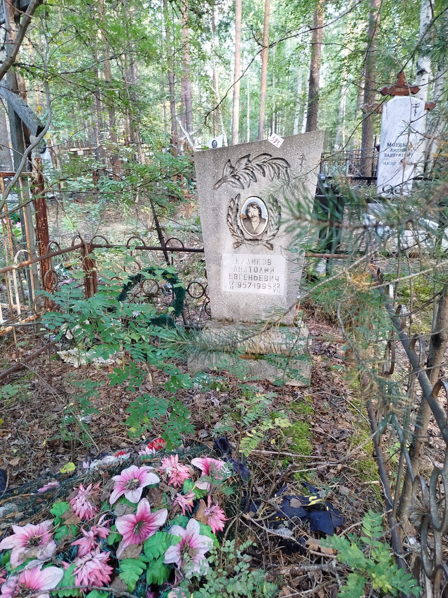Куликов Анатолий Евгеньевич