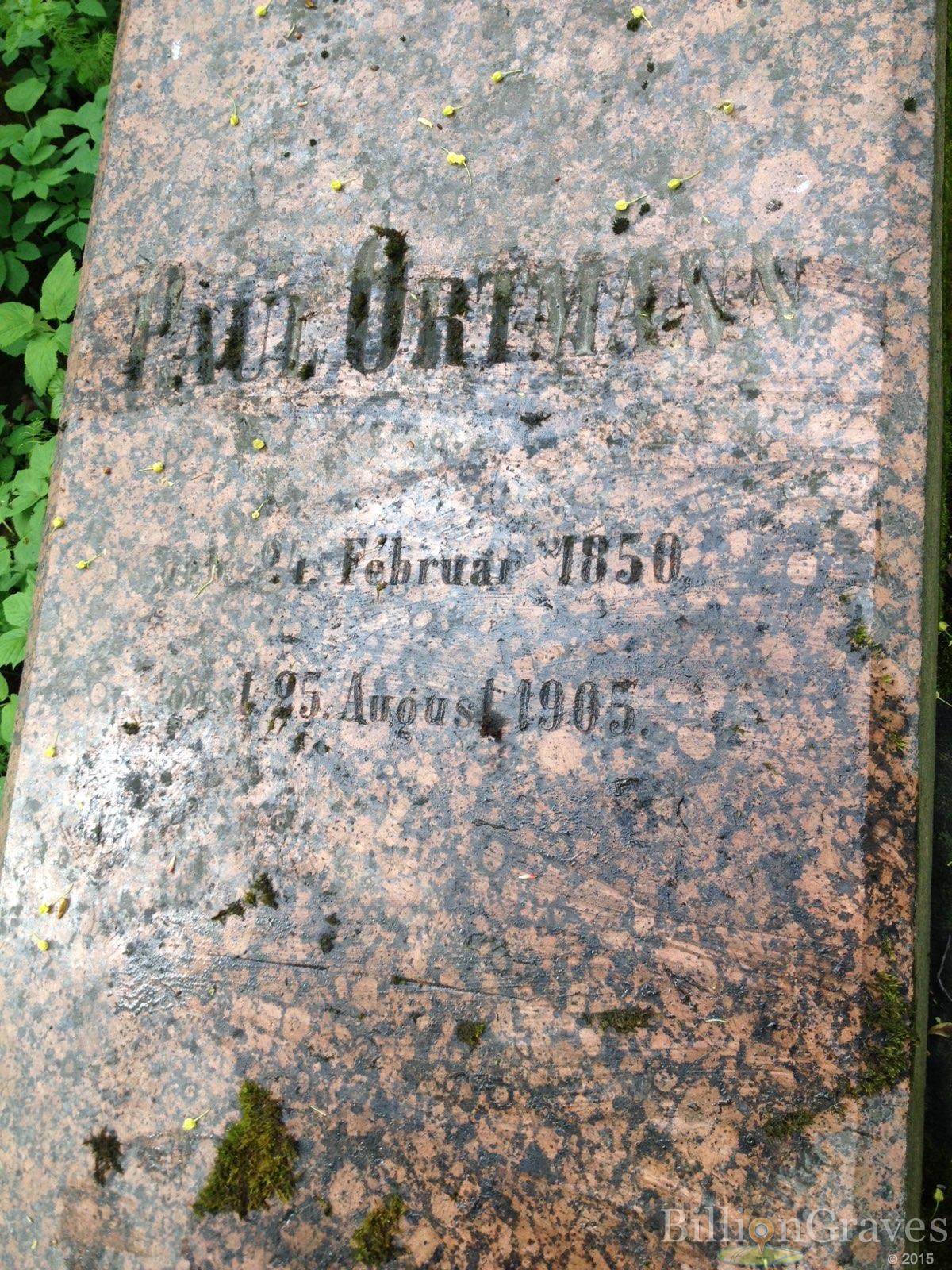 Ortmann Paul
