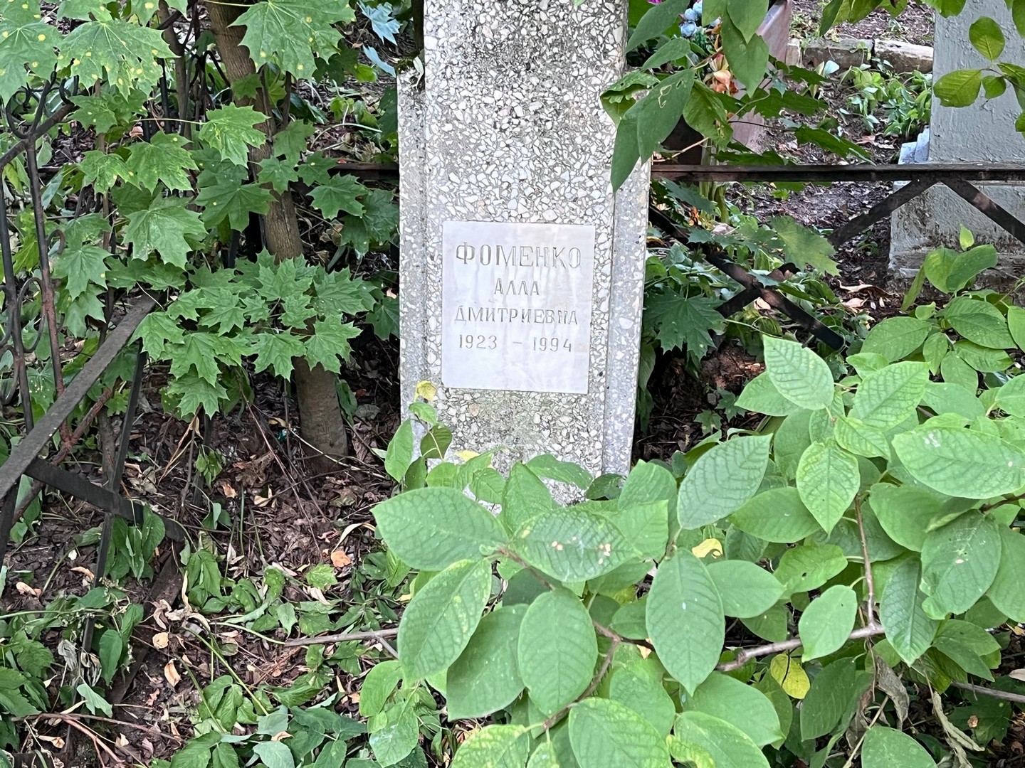 Алла Фоменко Дмитриевна