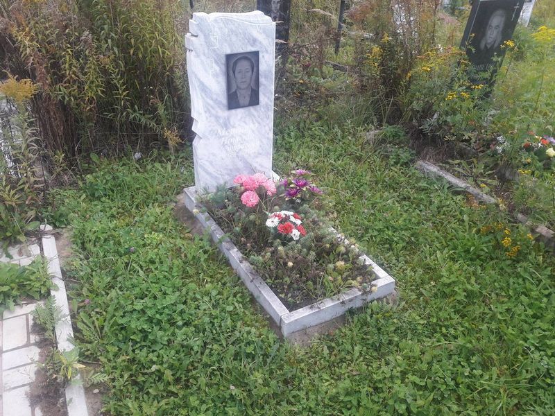 Мереоарэ Николай Дмитриевич