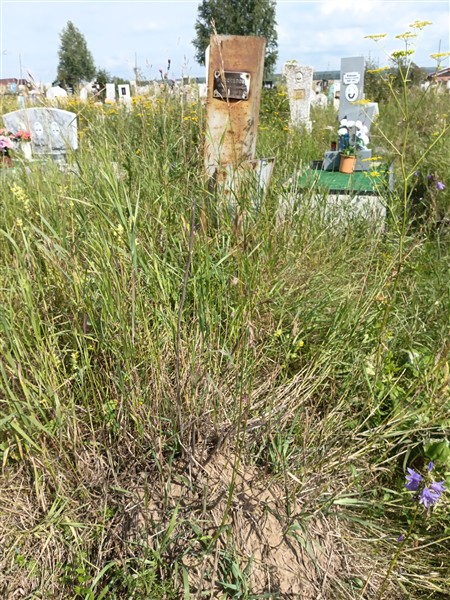 Новоселов Александр Петрович