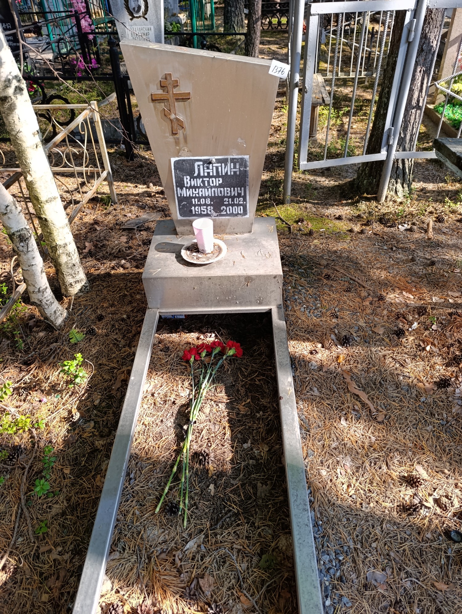 Лапин Виктор Михайлович