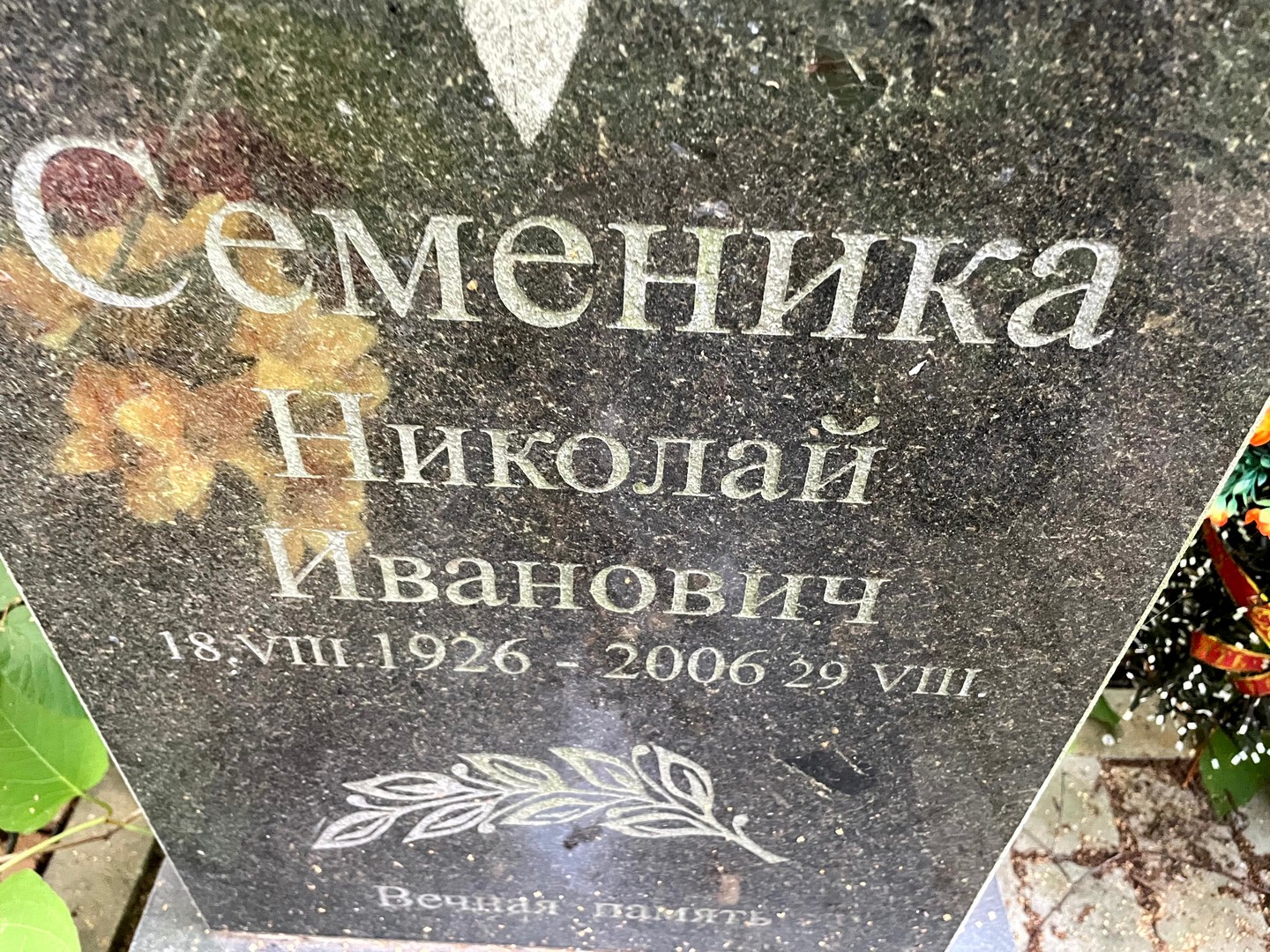 Семеника