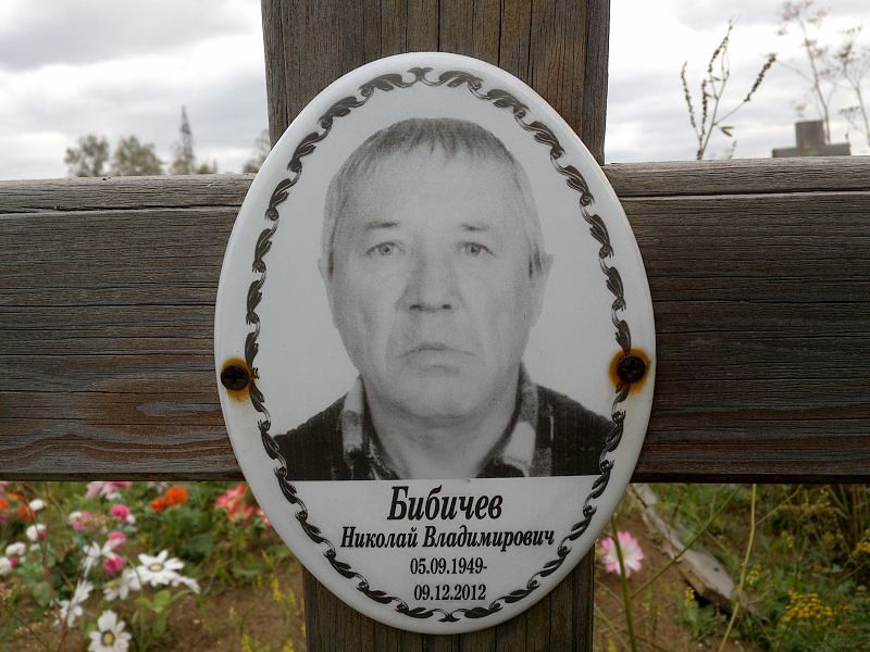 Бибичев