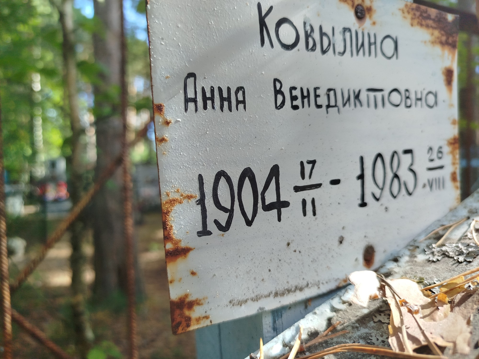 Ковылина Анна Венедитовна