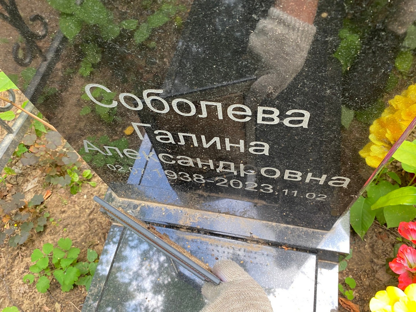 Соболева