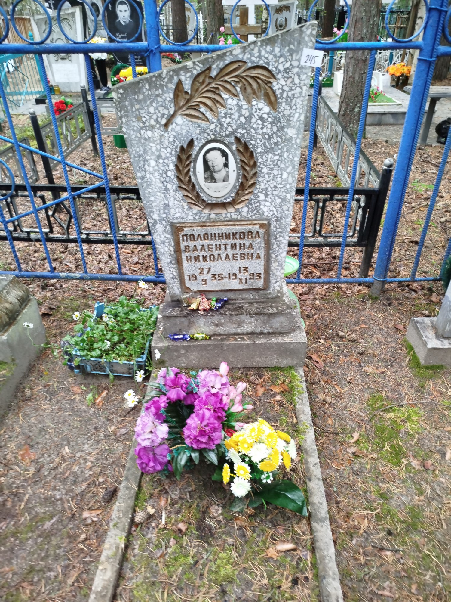 Полонникова Валентина Николаевна