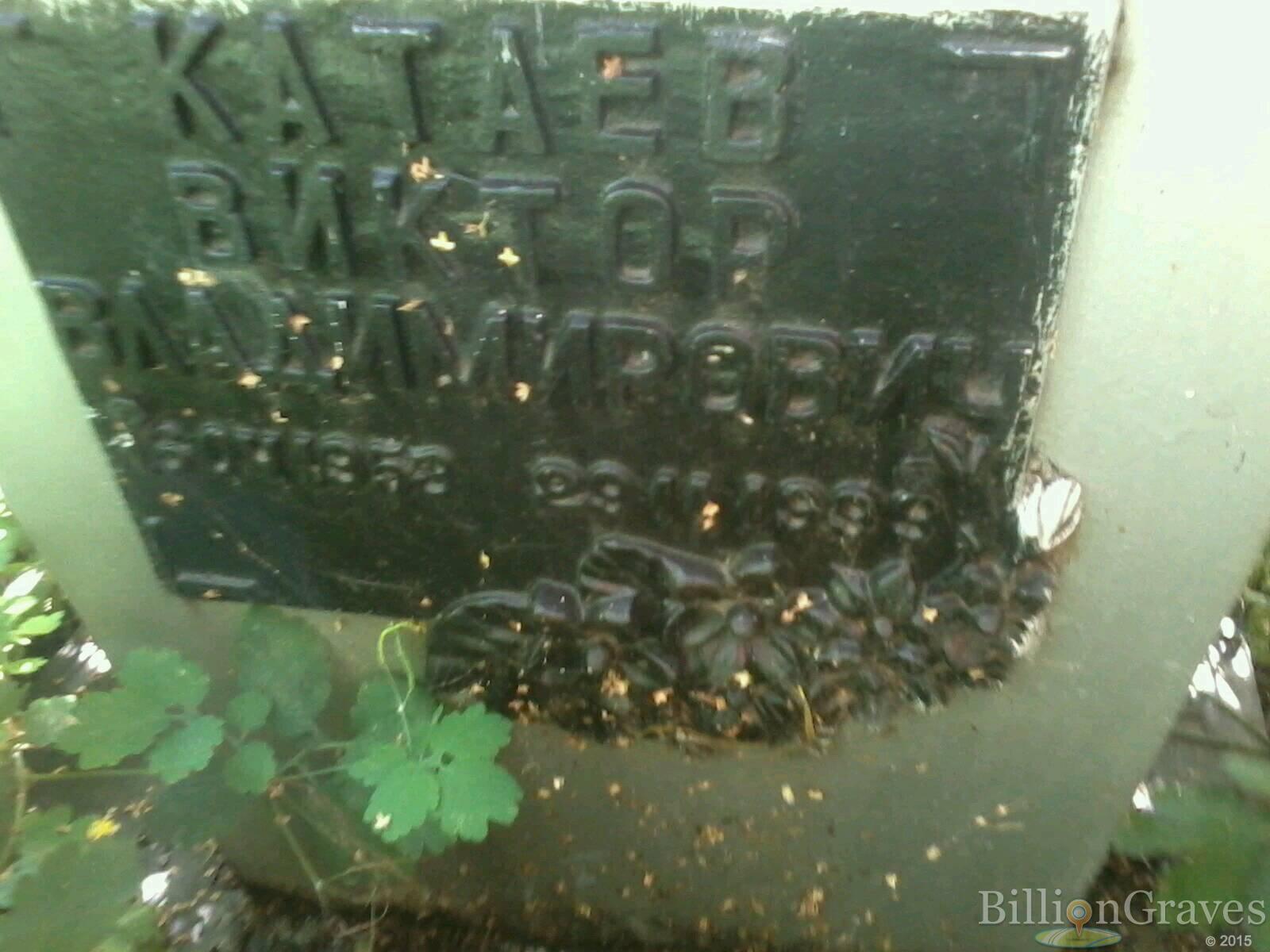 катаев виктор владимирович