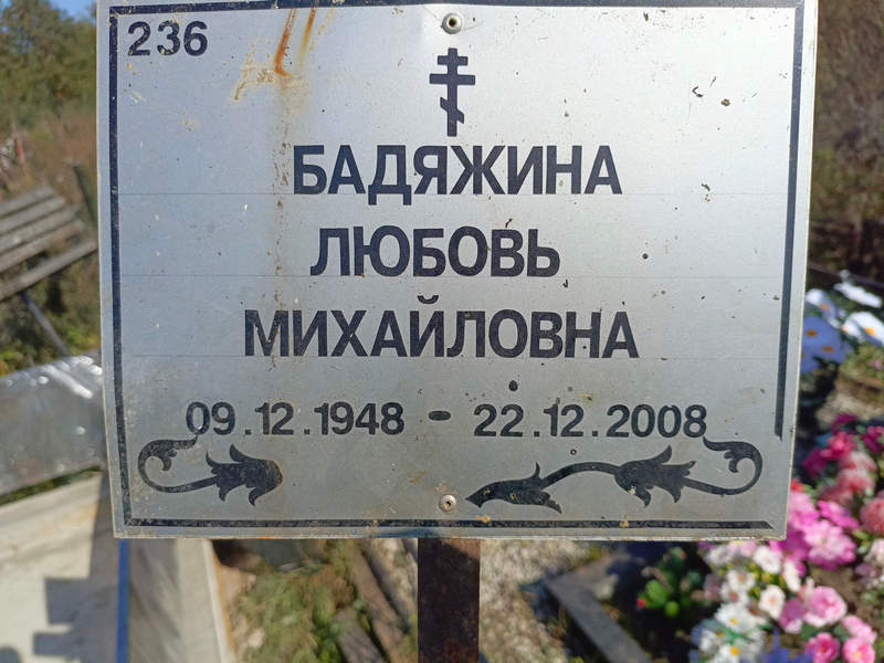 Бадяжина