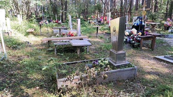 Ожгихин Владимир Александрович