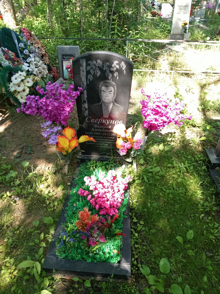 Сверкунов Валерий Алексеевич