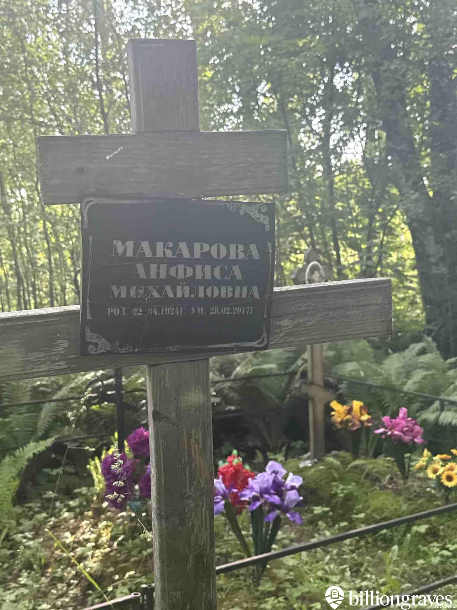 Макарова Анфиса Михайловна
