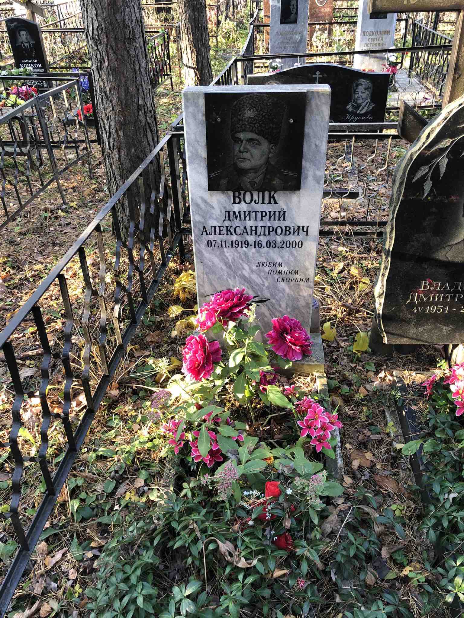 Волк Дмитрий Александрович