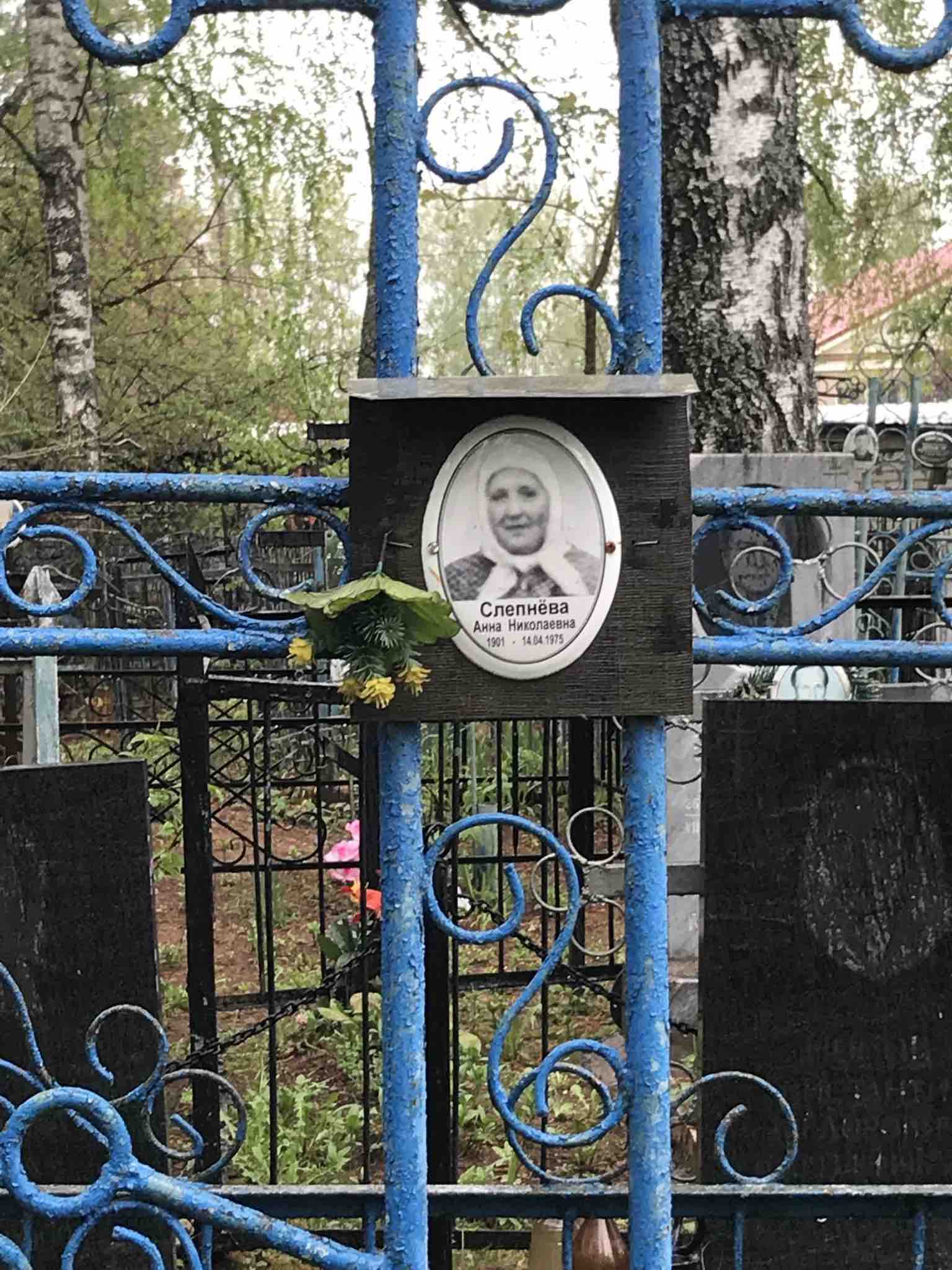 Слепнёва Анна Николаевна