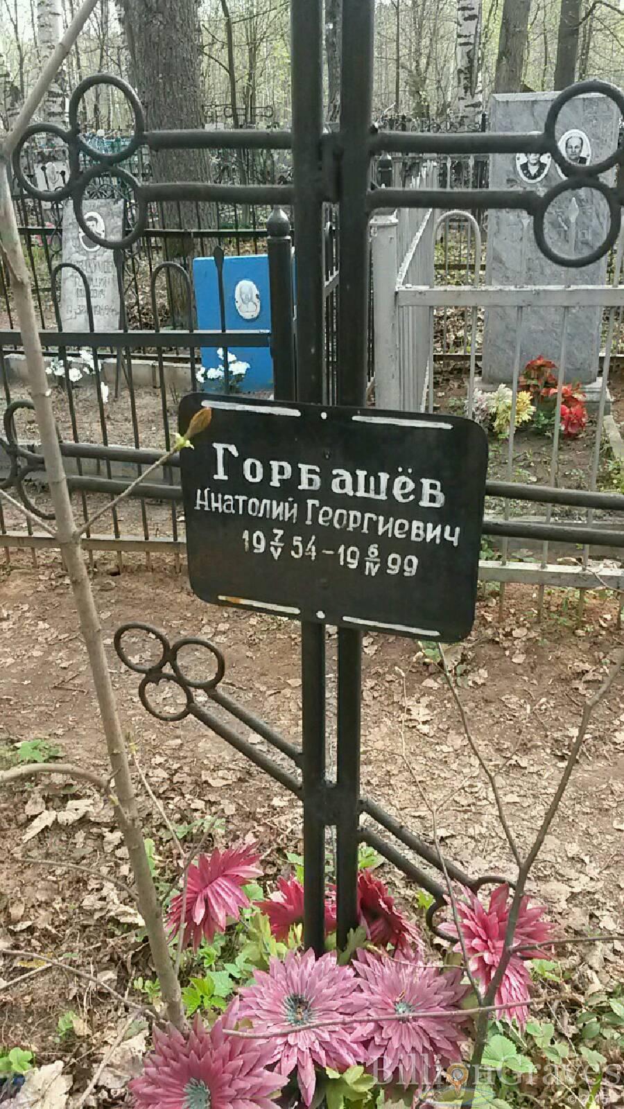 Горбашёв Анатолий Георгиевич