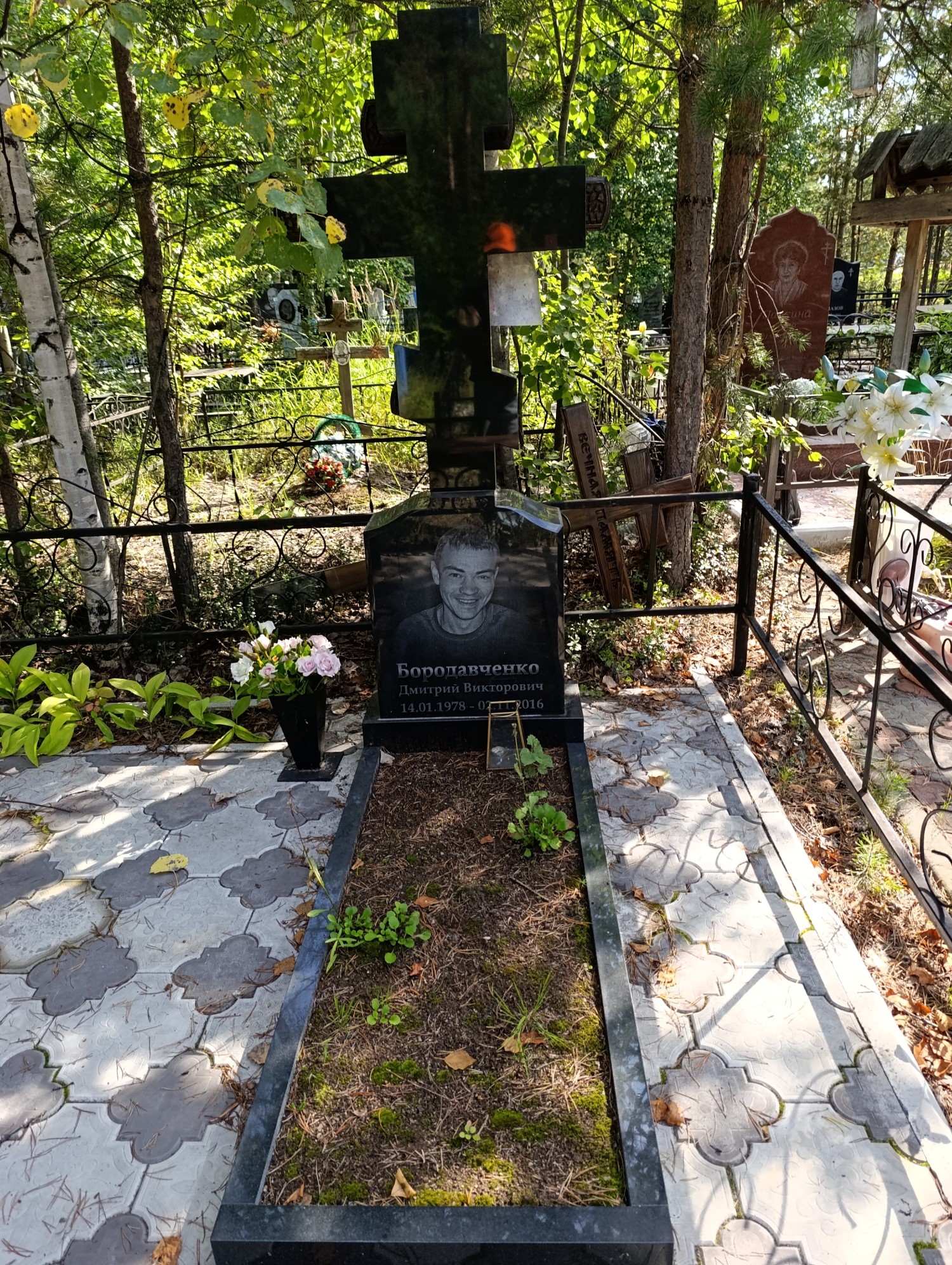 Бородавченко Дмитрий Викторович