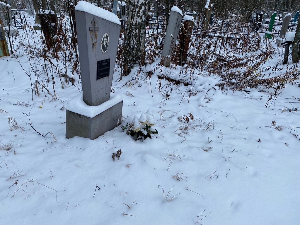 Говорков Владимир Васильевич