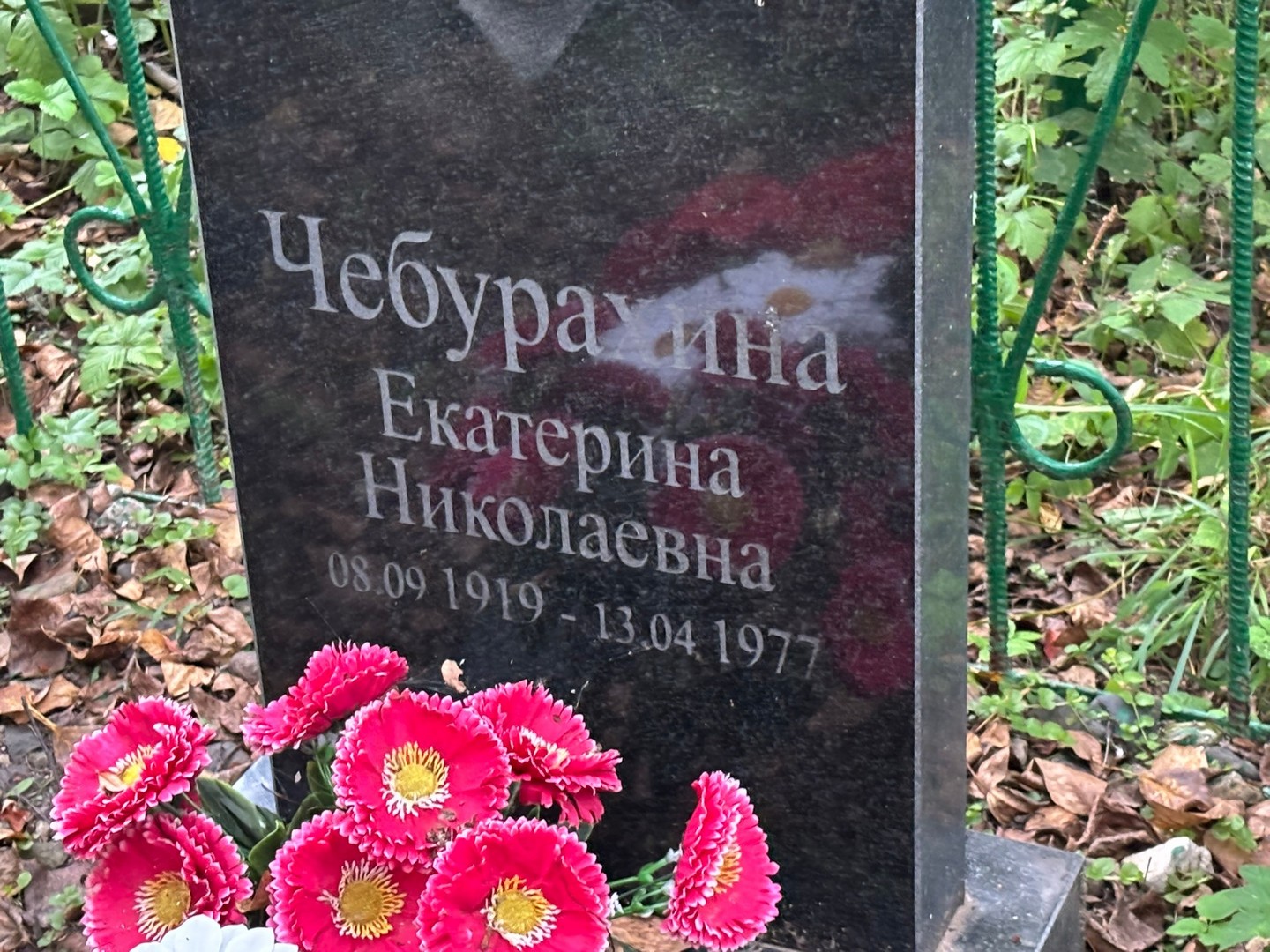 Чебурахина