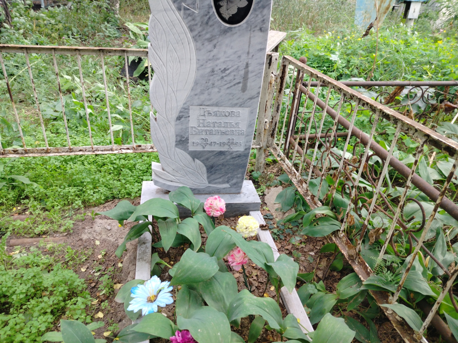 Дьякова Наталья Витальевна