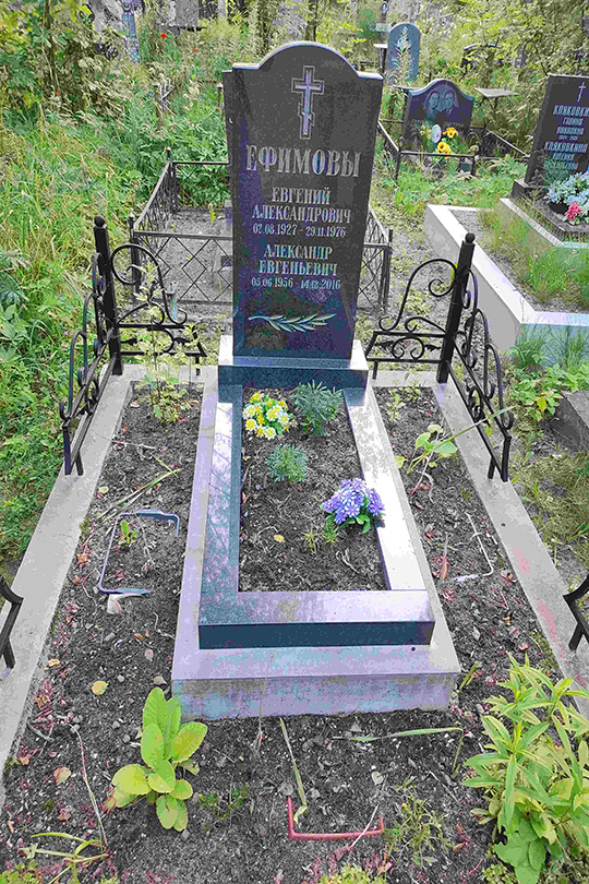 Ефимов Александр Евгеньевич