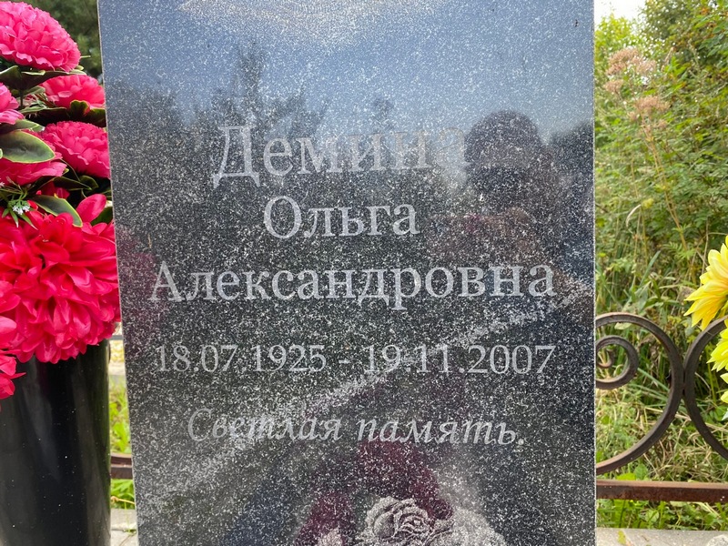 Демина