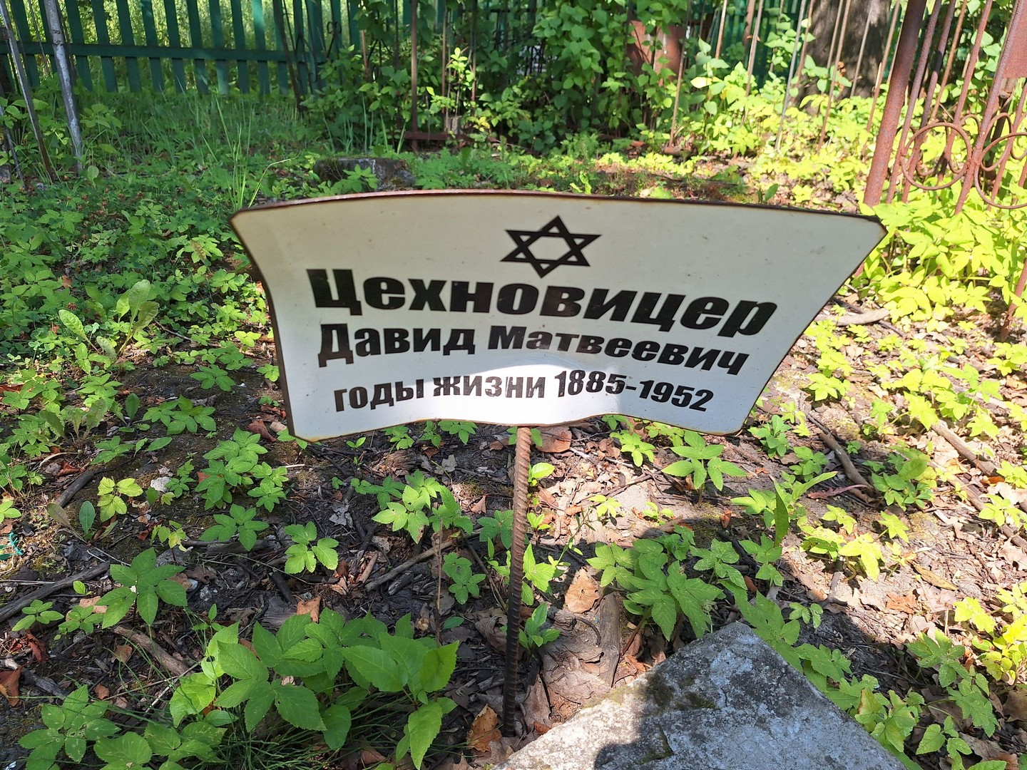 Давид Цехновицер Матвеевич