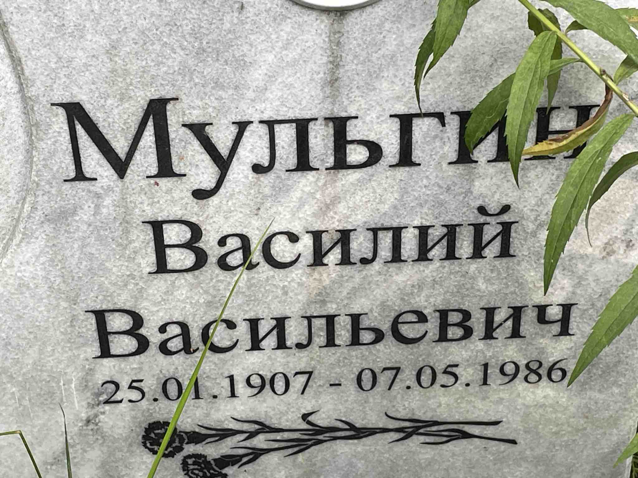 Мульгин Василий Васильевич