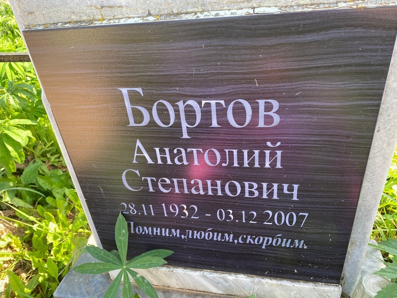 Бортов