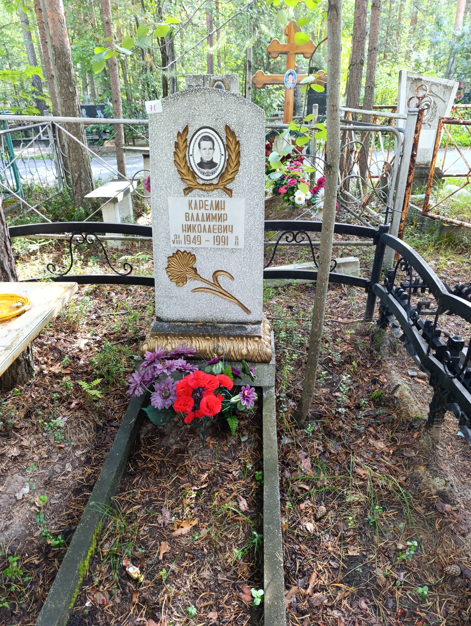 Карелин Владимир Николаевич
