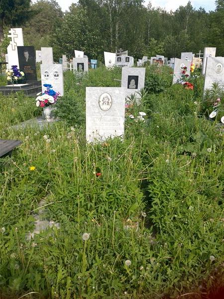 Рогожников Анатолий Николаевич