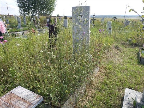 Катаев Илья Борисович