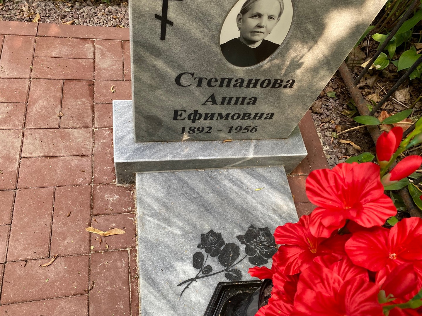 Степанова