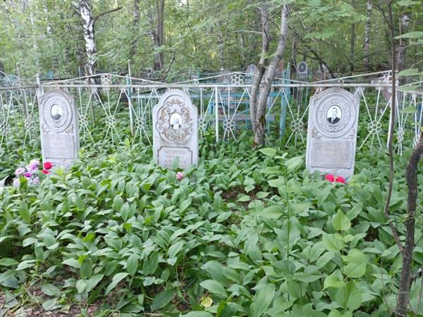 Матисон Петр Донатович