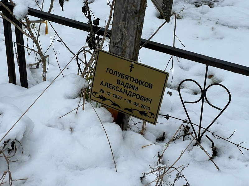 Голубятников
