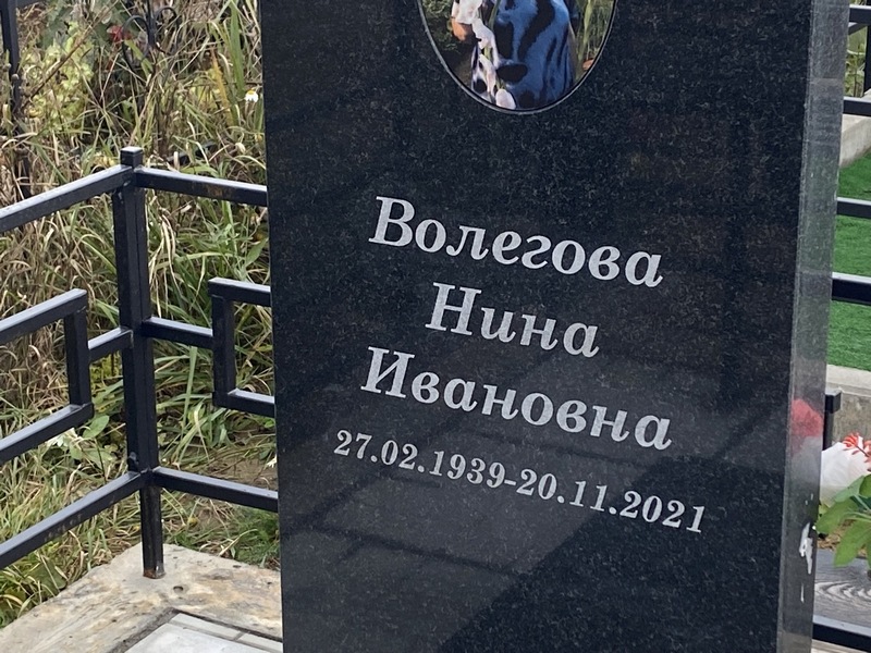 Волегова