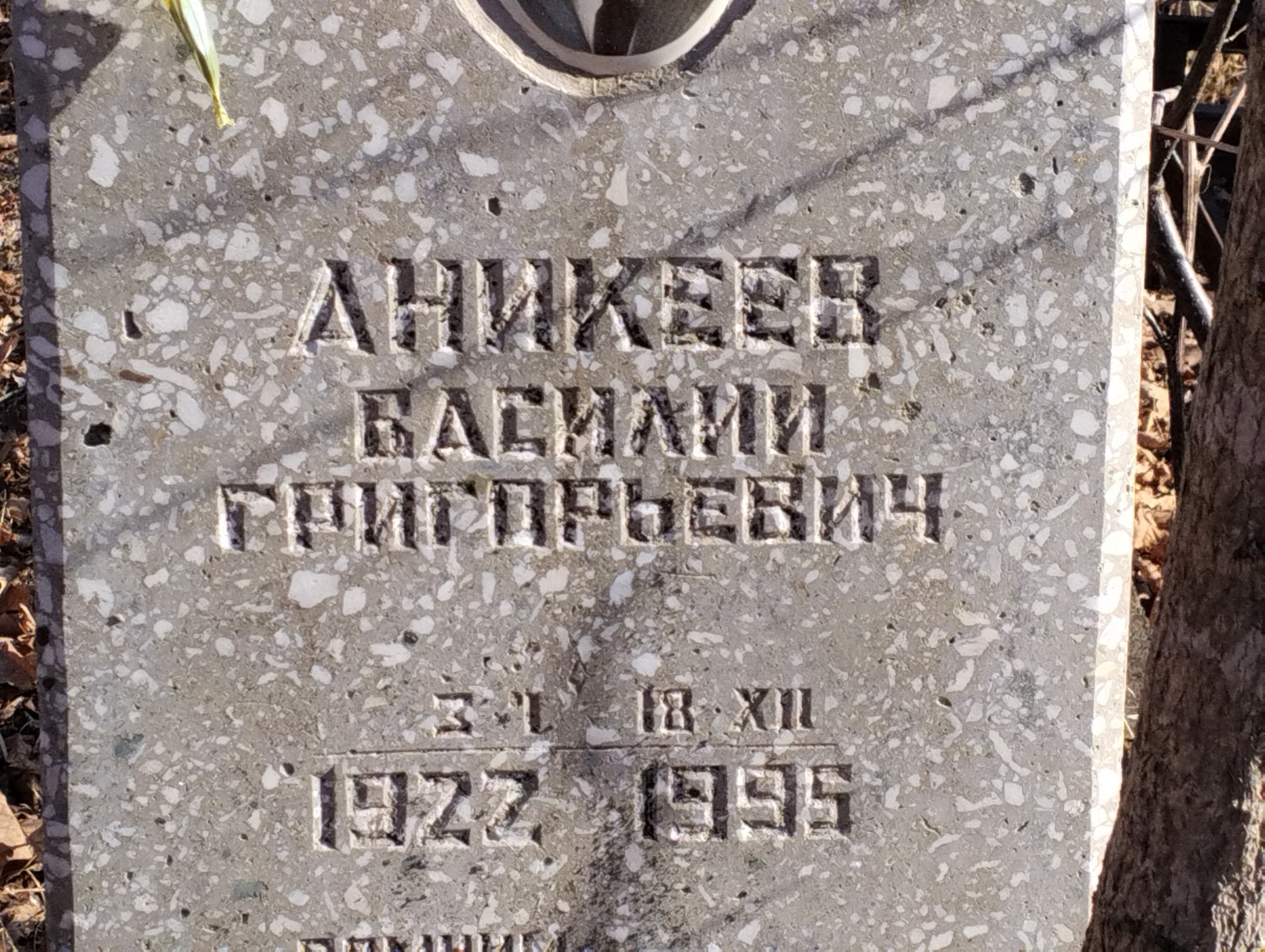 Аникеев Василий Григорьевич