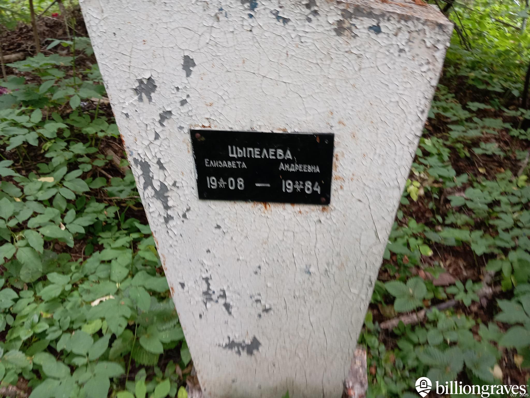 Цыпелева Елизавета Андреевна