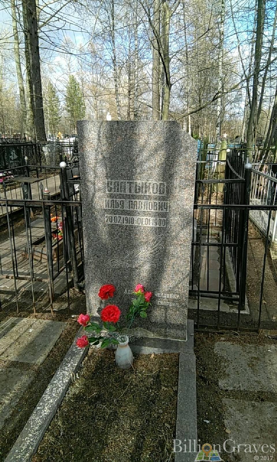 Салтыков Илья Павлович