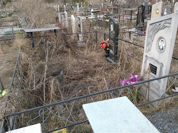 Полухова Светлана Васильевна