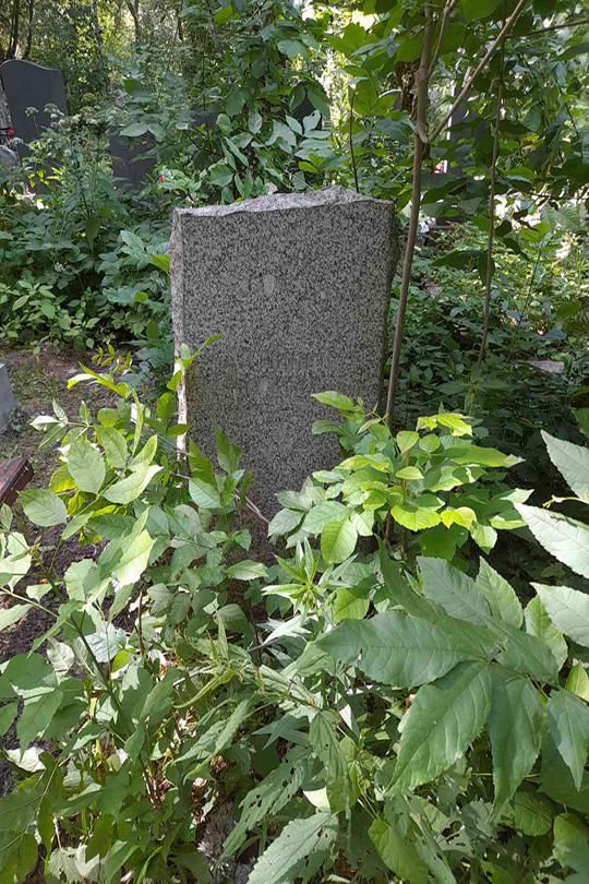 Литвинов Анатолий Яковлевич