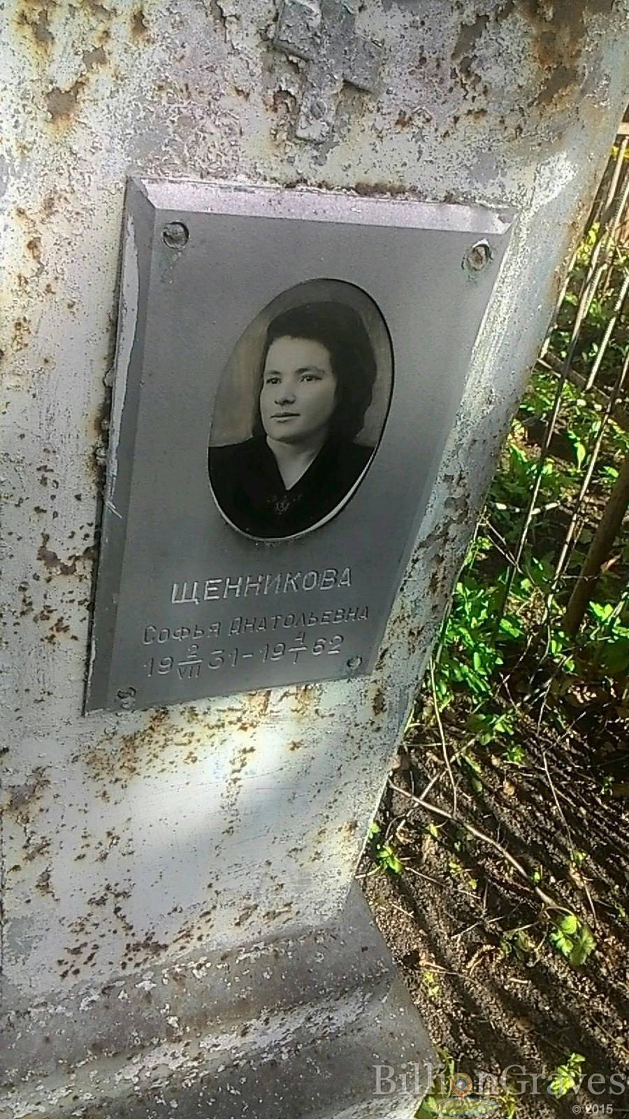 Щенникова Софья Анатольевна