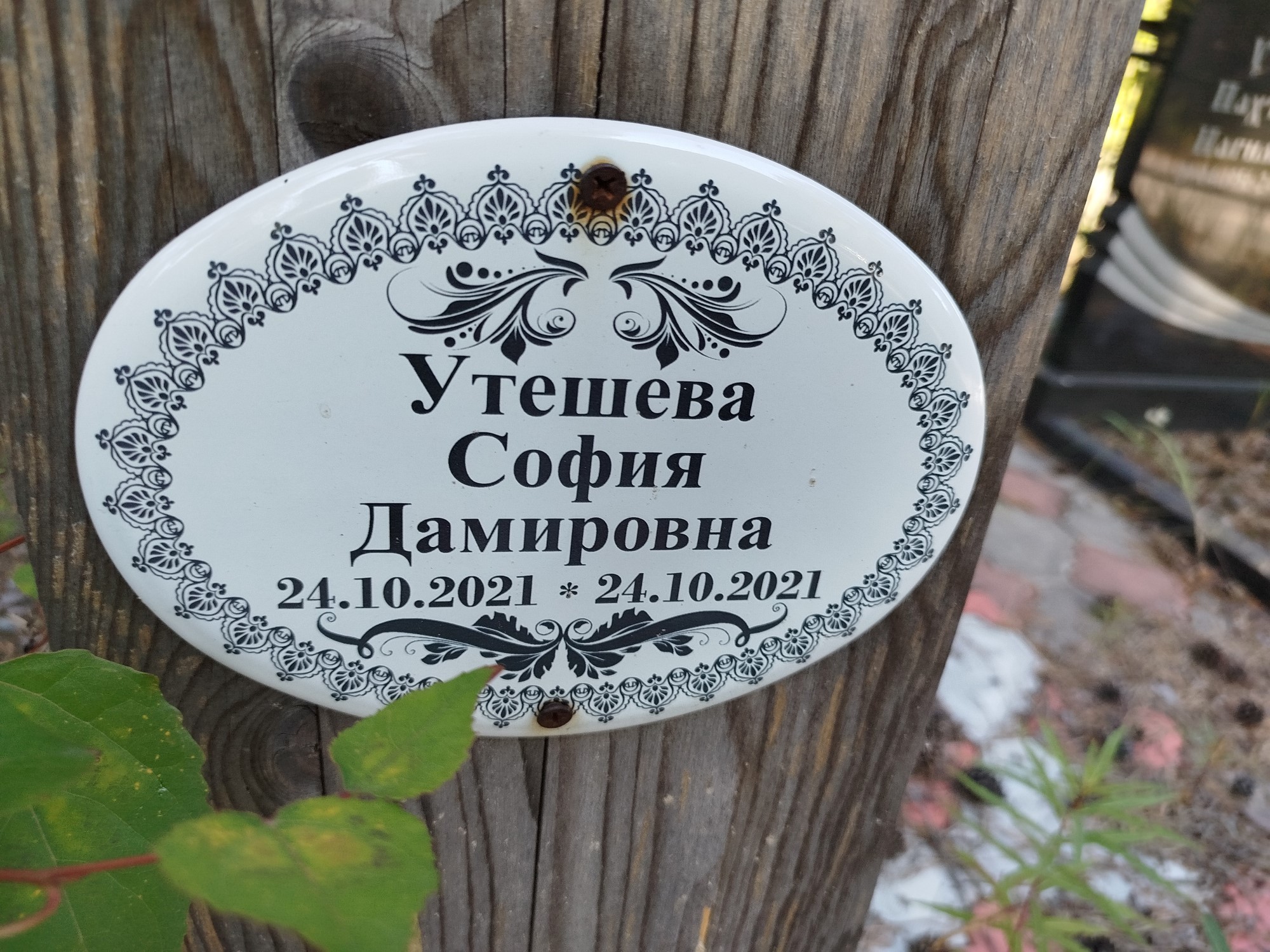 Утешева София Дамировна