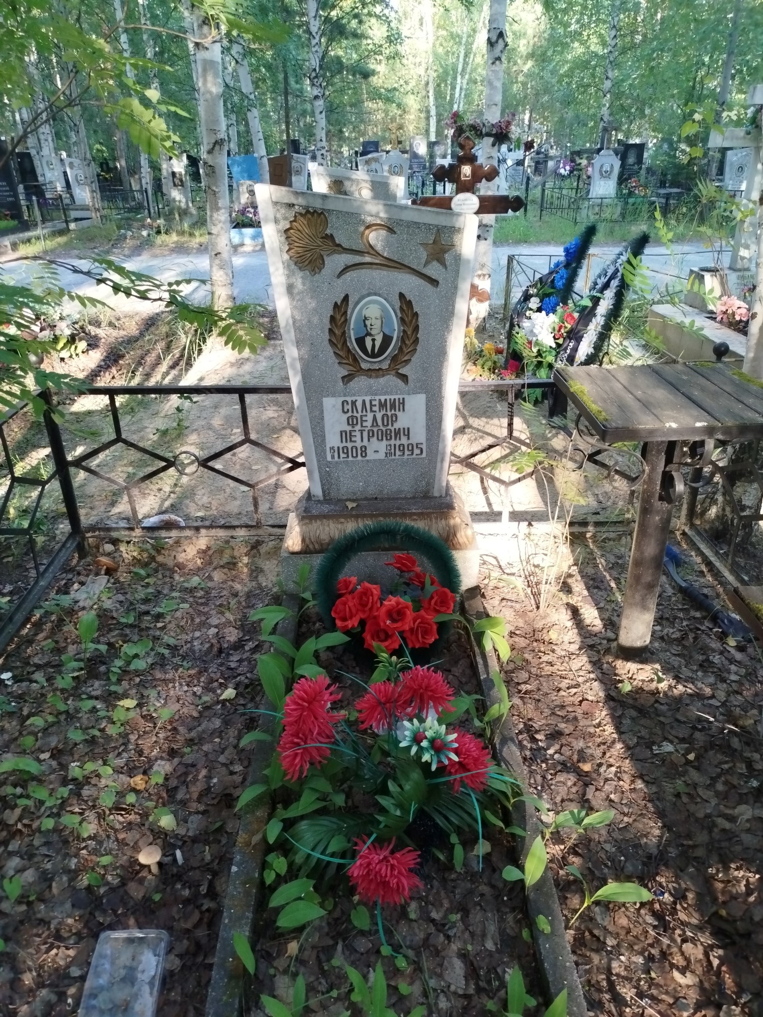 Склемин Федор Петрович